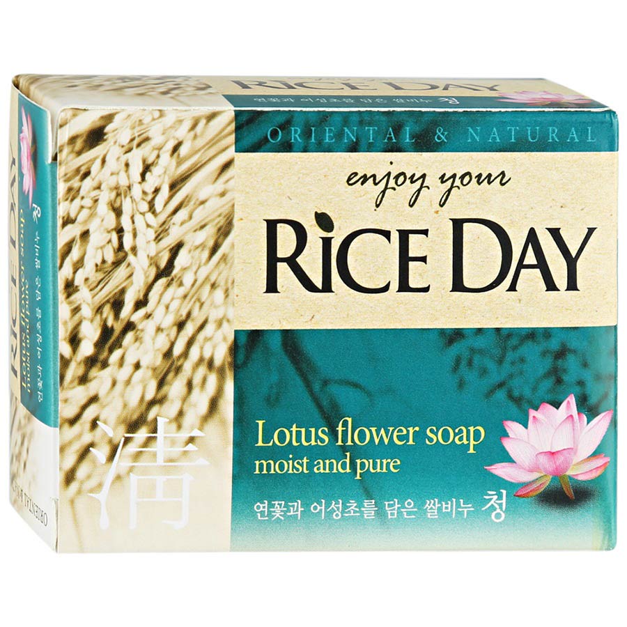        Rice day 100