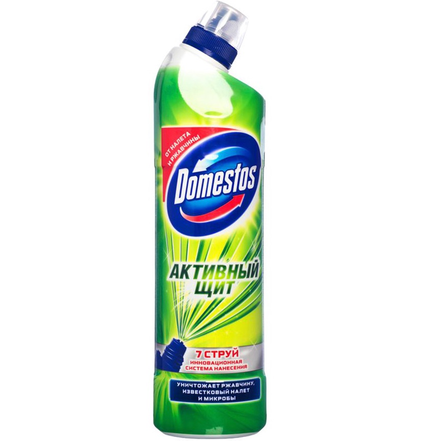  Domestos         750