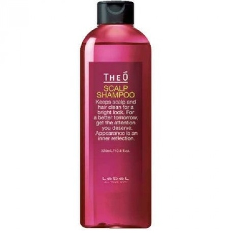  Lebel Theo Scalp Shampoo  320